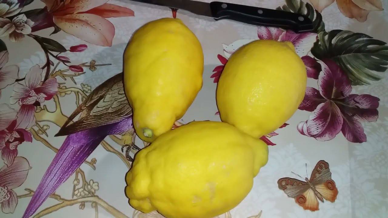 Господині розповіли, навіщо класти лимони у морозилку