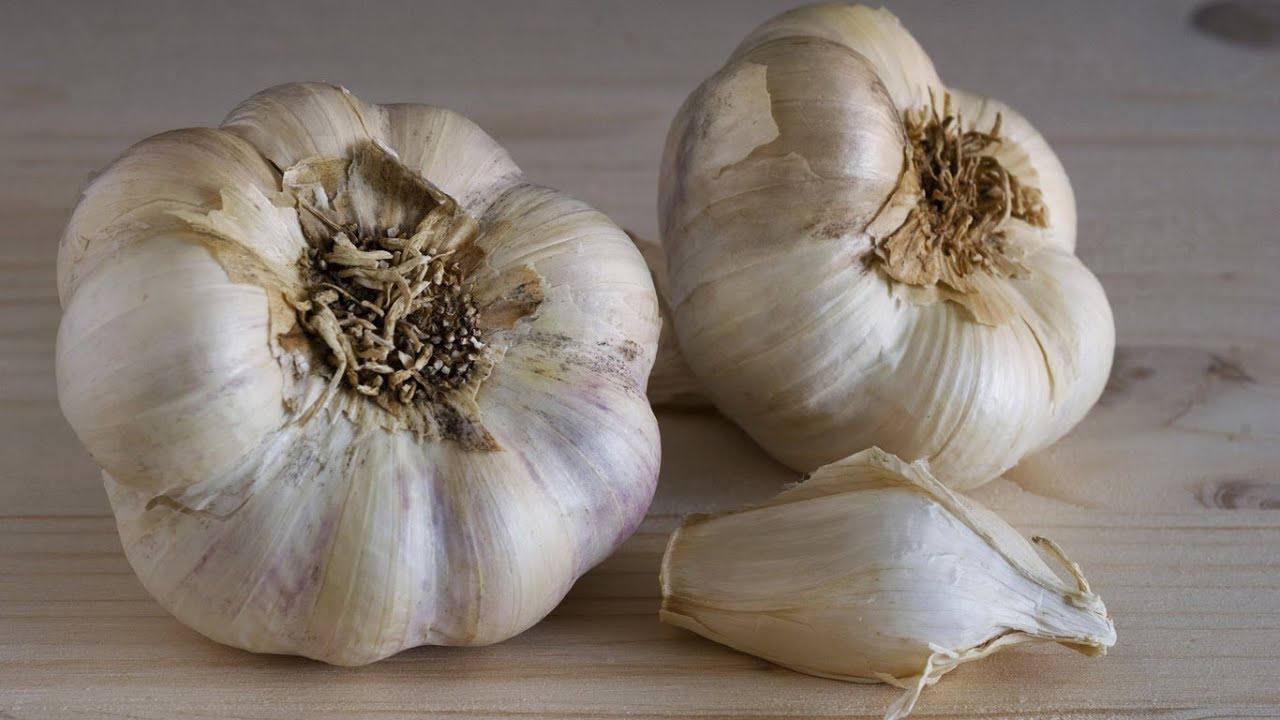 Городники розповіли, як правильно вибрати часник для посадки восени