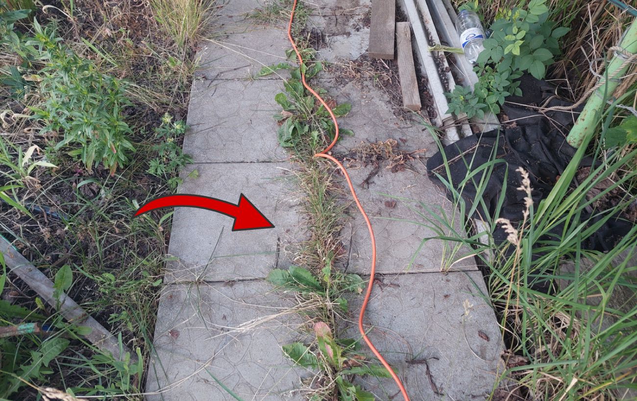 Як позбутись від порослої трави на ділянці