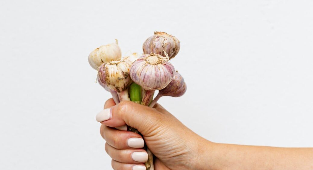 Сусіди питають, що я роблю з часником, аби він ріс великим, як кулак: ось 3 важливі та майже безплатні кроки 