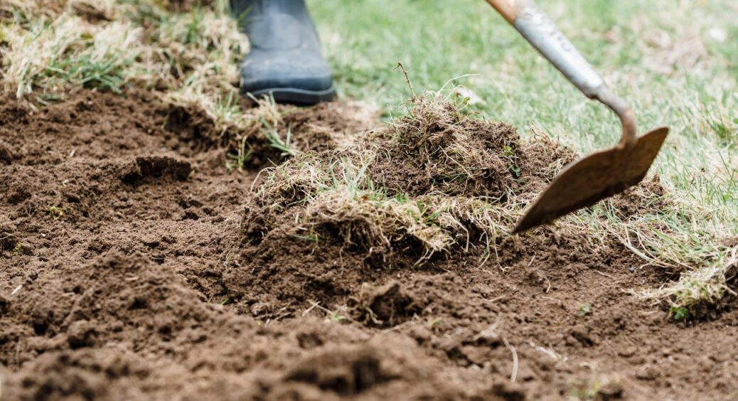 3 роки поспіль після збору цибулі та часнику роблю “канадську грядку”: у наступному сезоні врожай зашкалює 