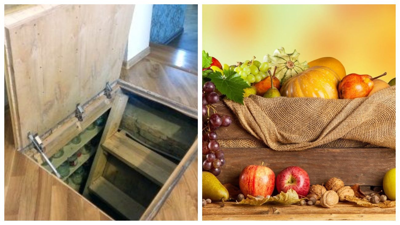 Експерти поділилися лайфхаком зберегти погріб сухим