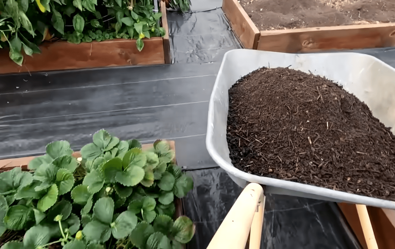 Городники розповіли, як швидко приготувати компост