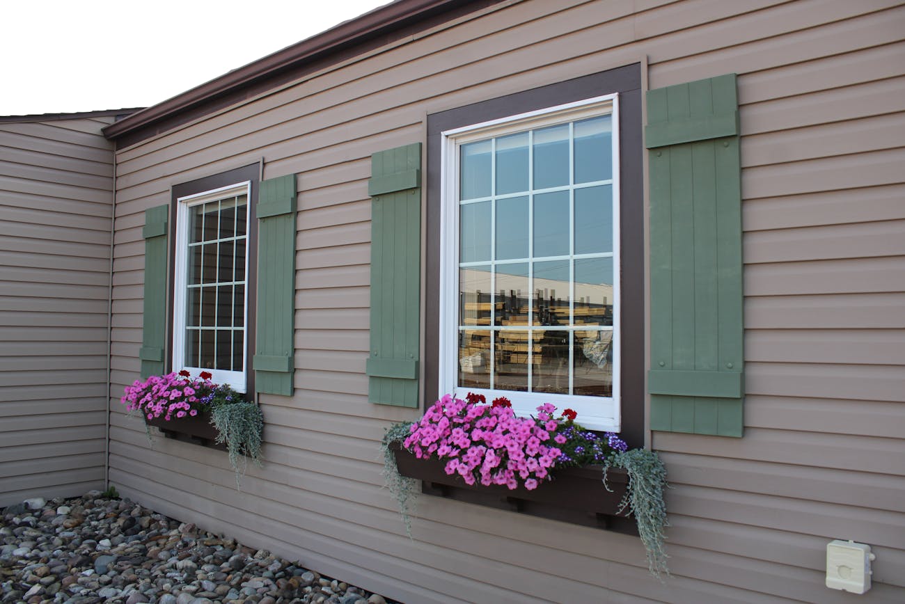 Експерти порадили, як самому прибрати зелений наліт на фасаді будинку