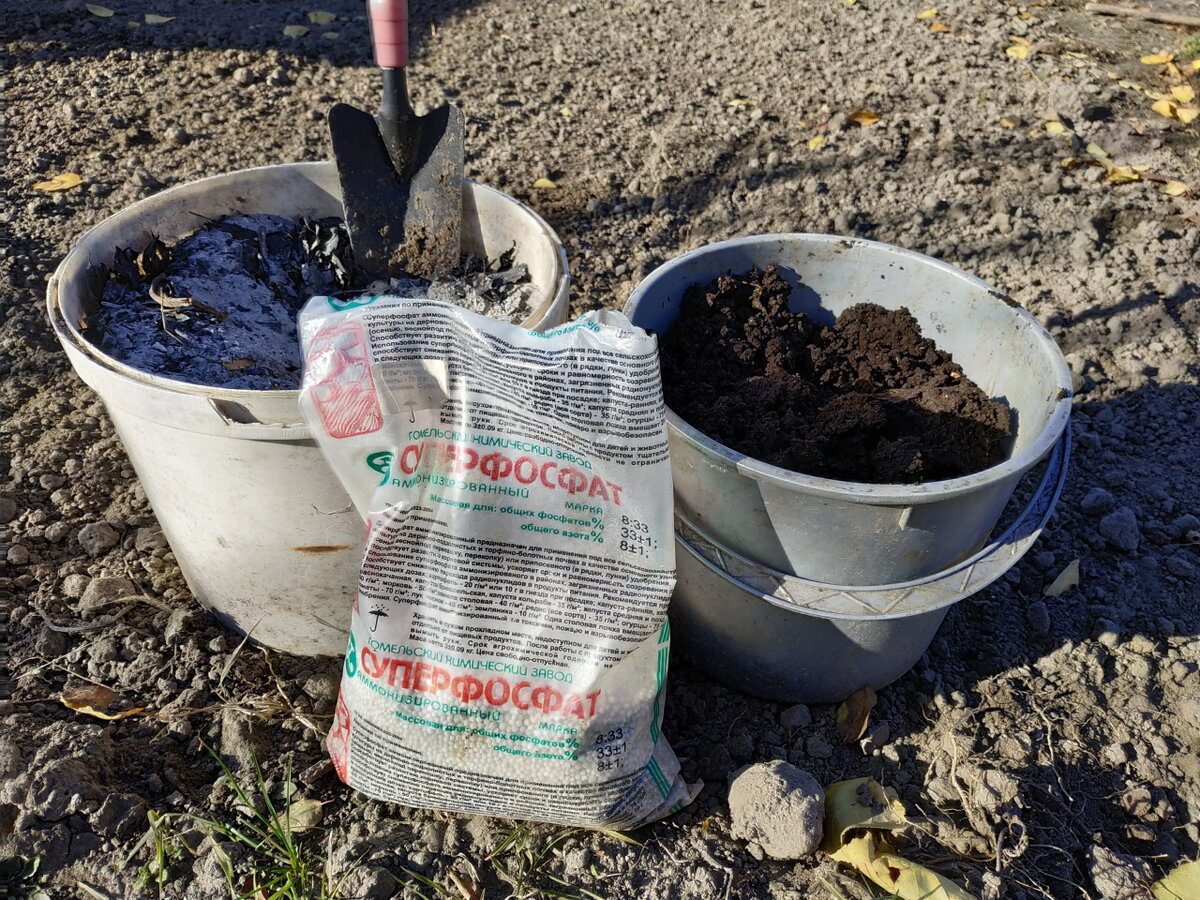 Городники пояснили, які помилки у використанні суперфосфату значно знижують його ефективність