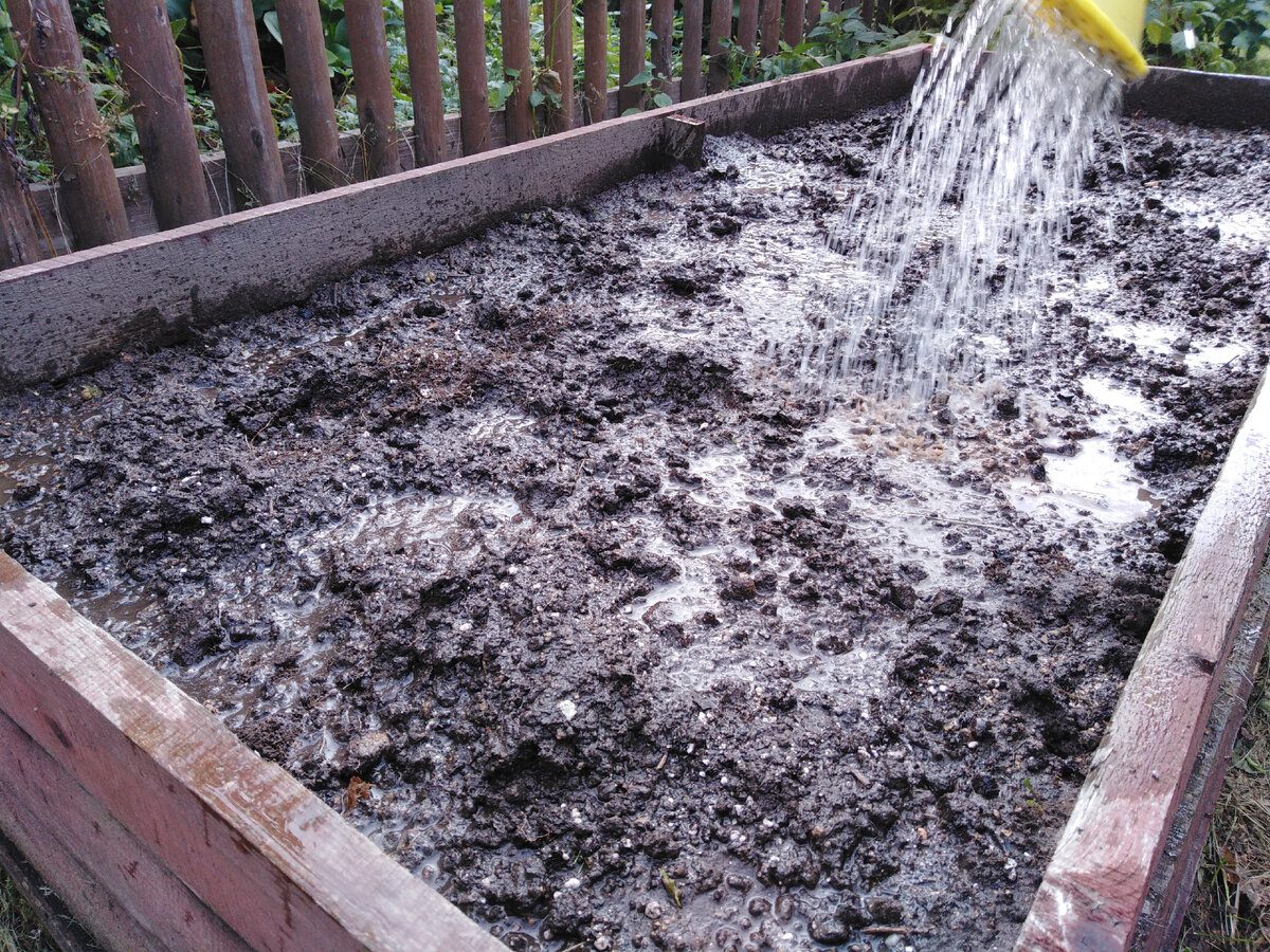 Експерти розповіли, як доглядати за грядкою восени, аби наступного року врожайність порадувала