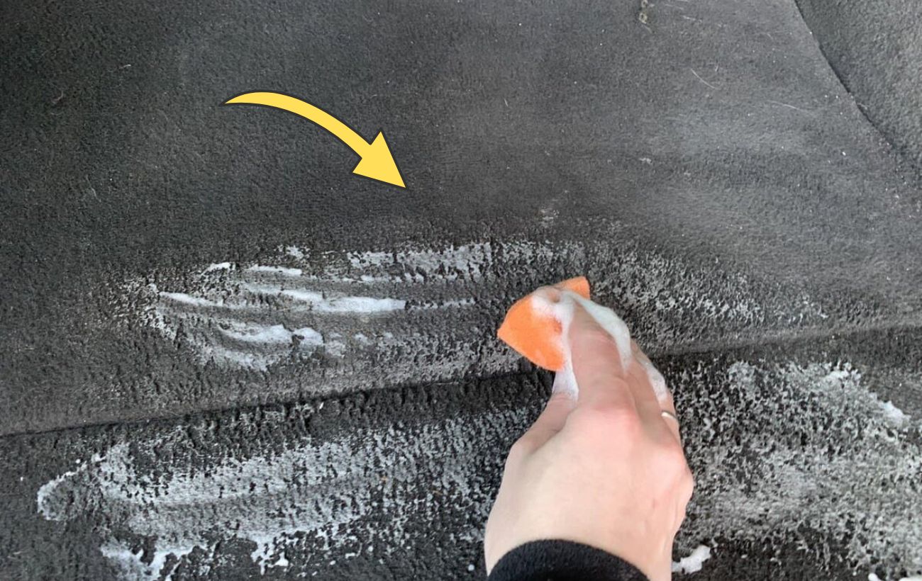 Як позбутись від шерсті котів на килимі