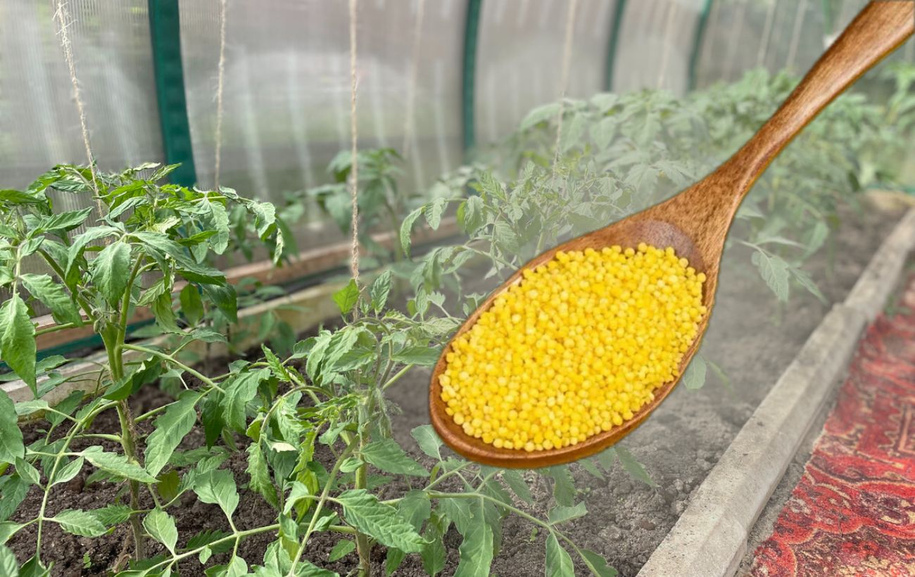 Як безкоштовно покращити структуру ґрунту