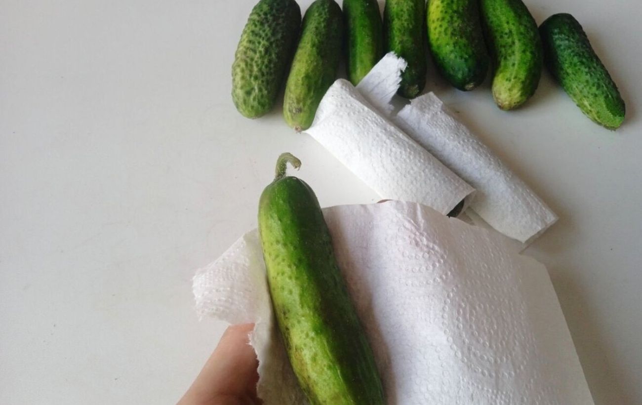 Городники розповіли, яке добриво покращує та продовжує плодоношення огірків у вересні