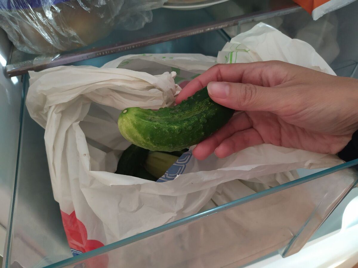 Експерти розповіли, як зберігати свіжі огірки, аби вони не псувались протягом тривалого часу