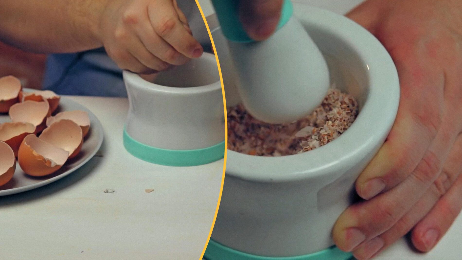 Городники розповіли про користь яєчної шкаралупи для городу