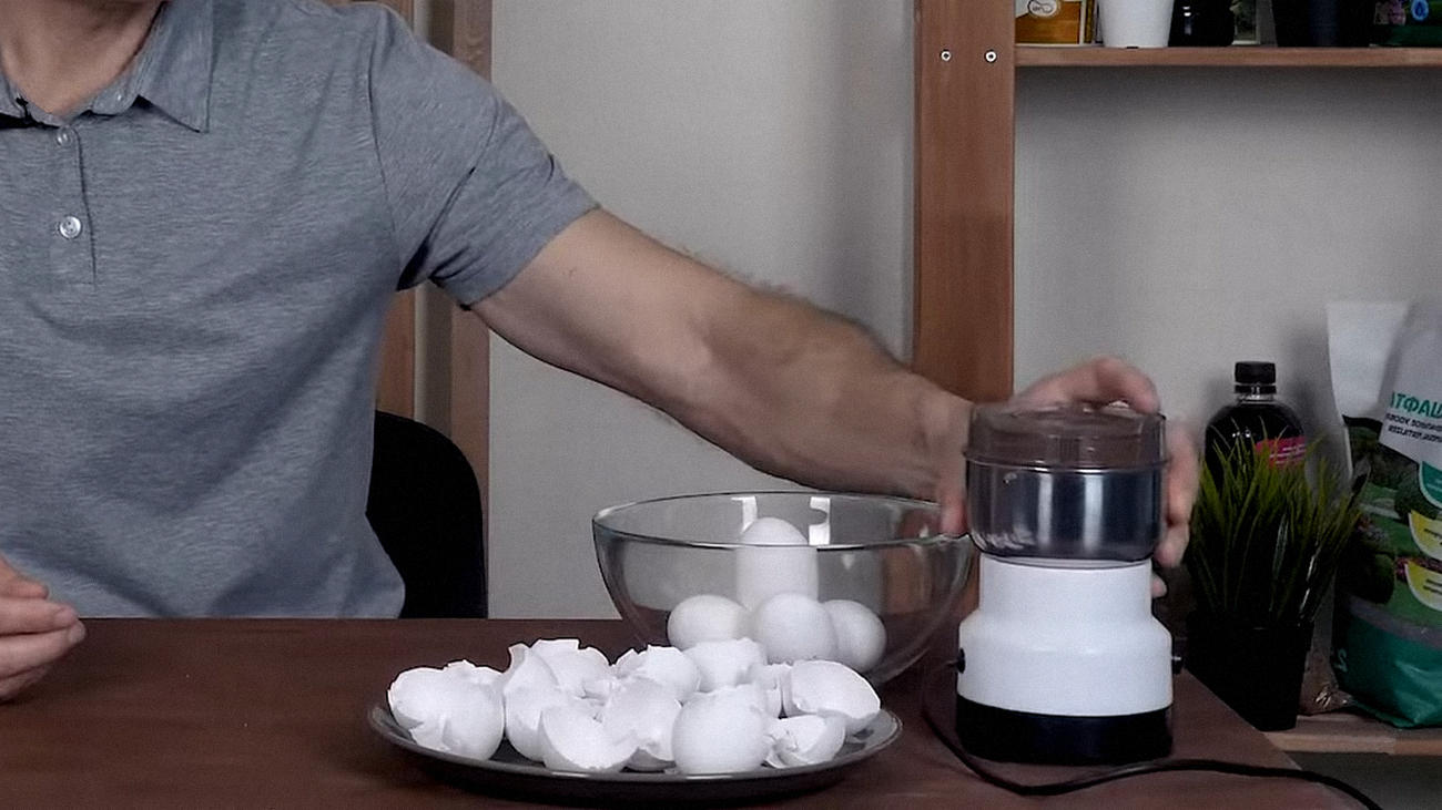 Городники розповіли про користь яєчної шкаралупи для городу