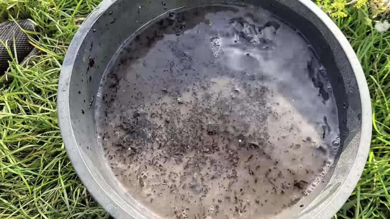 Городники розповіли, як приготувати універсальний розчин і від грибка, і для підживлення 