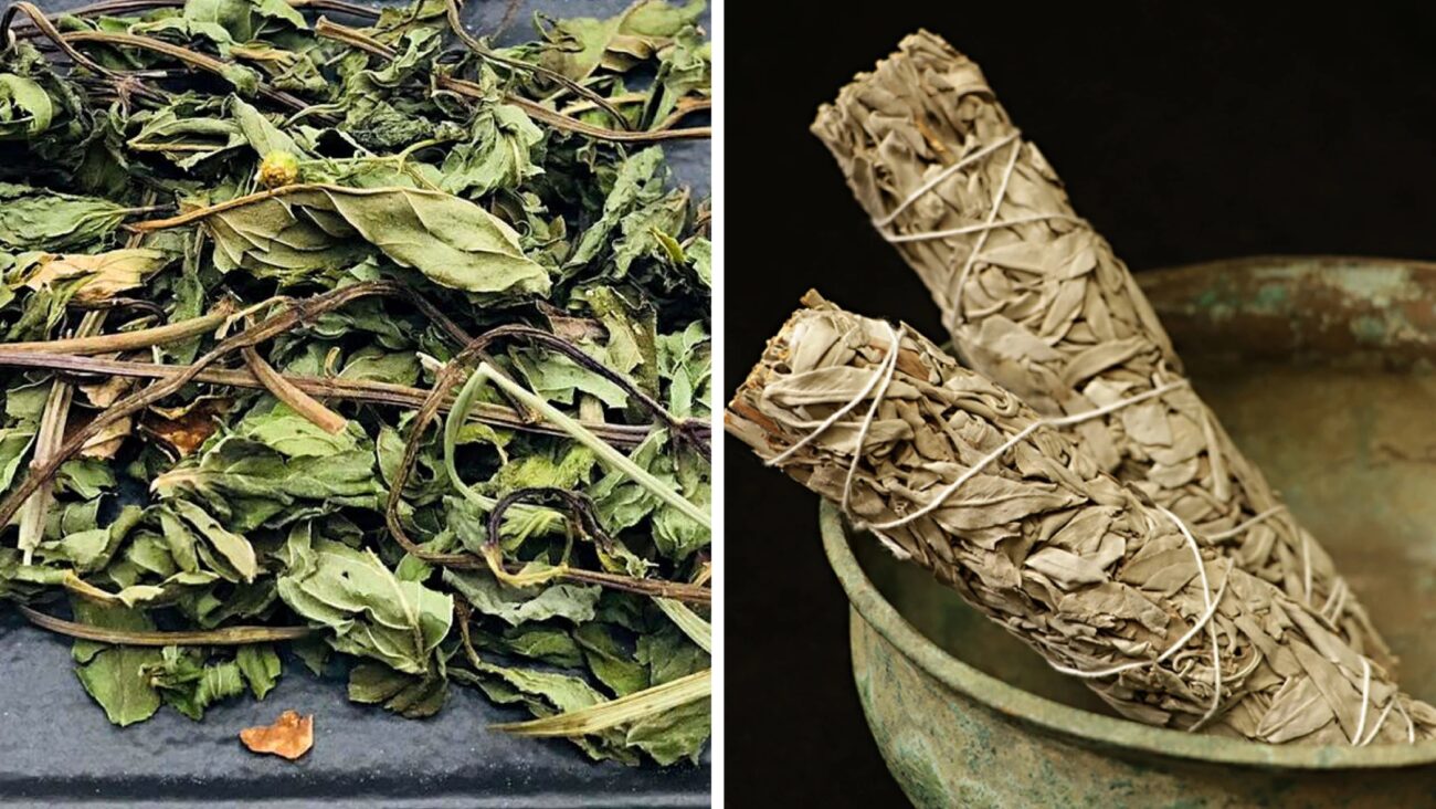 Дачники розповіли, як зберігати часник, щоб він не сохнув і не гнив 