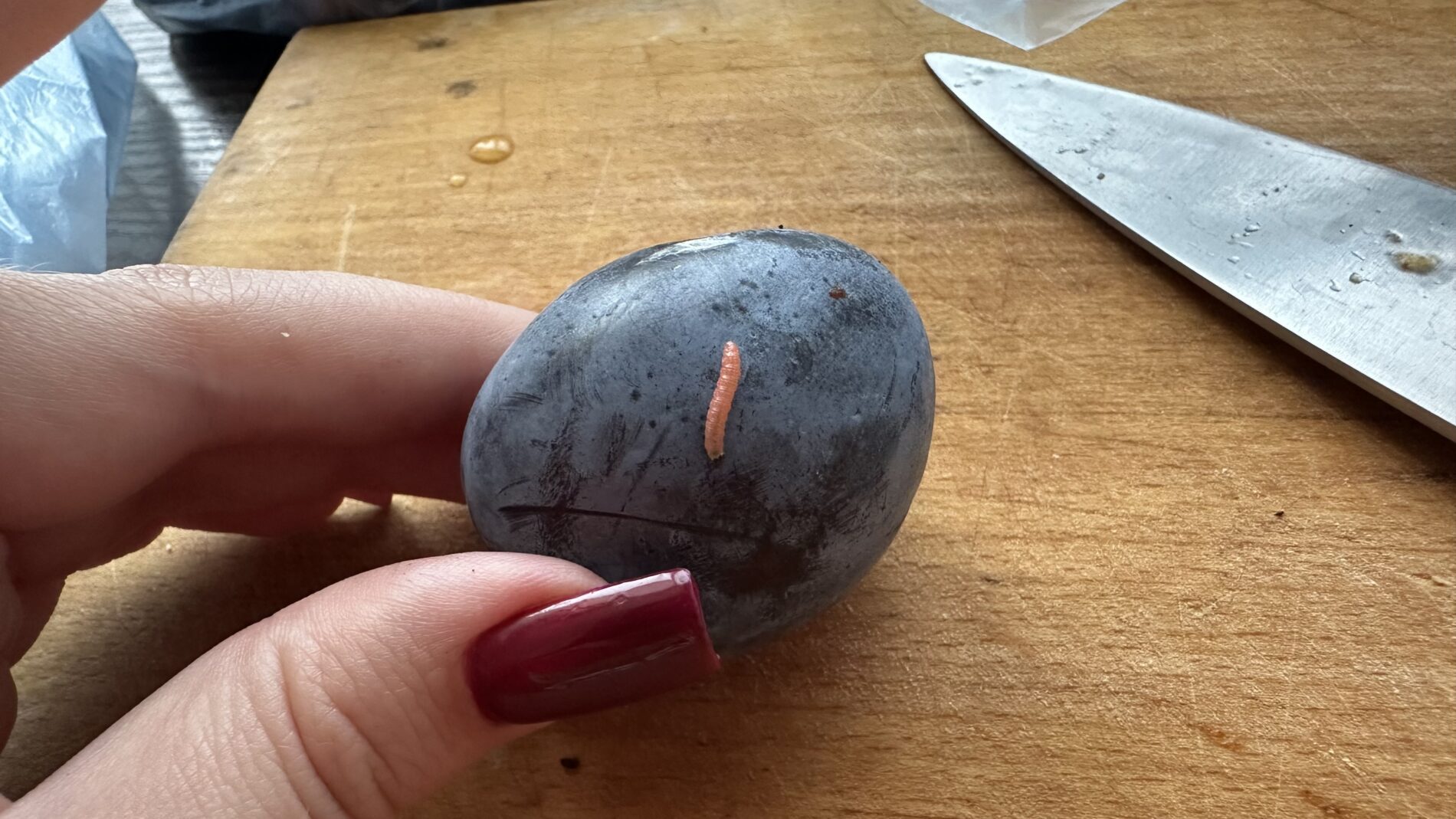 Садівники розповіли, як правильно обробляти сливу від плодожерки 