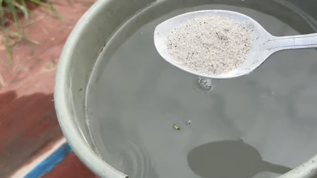 Городники розповіли, як зробити добриво для покращення плодоношення огірків 