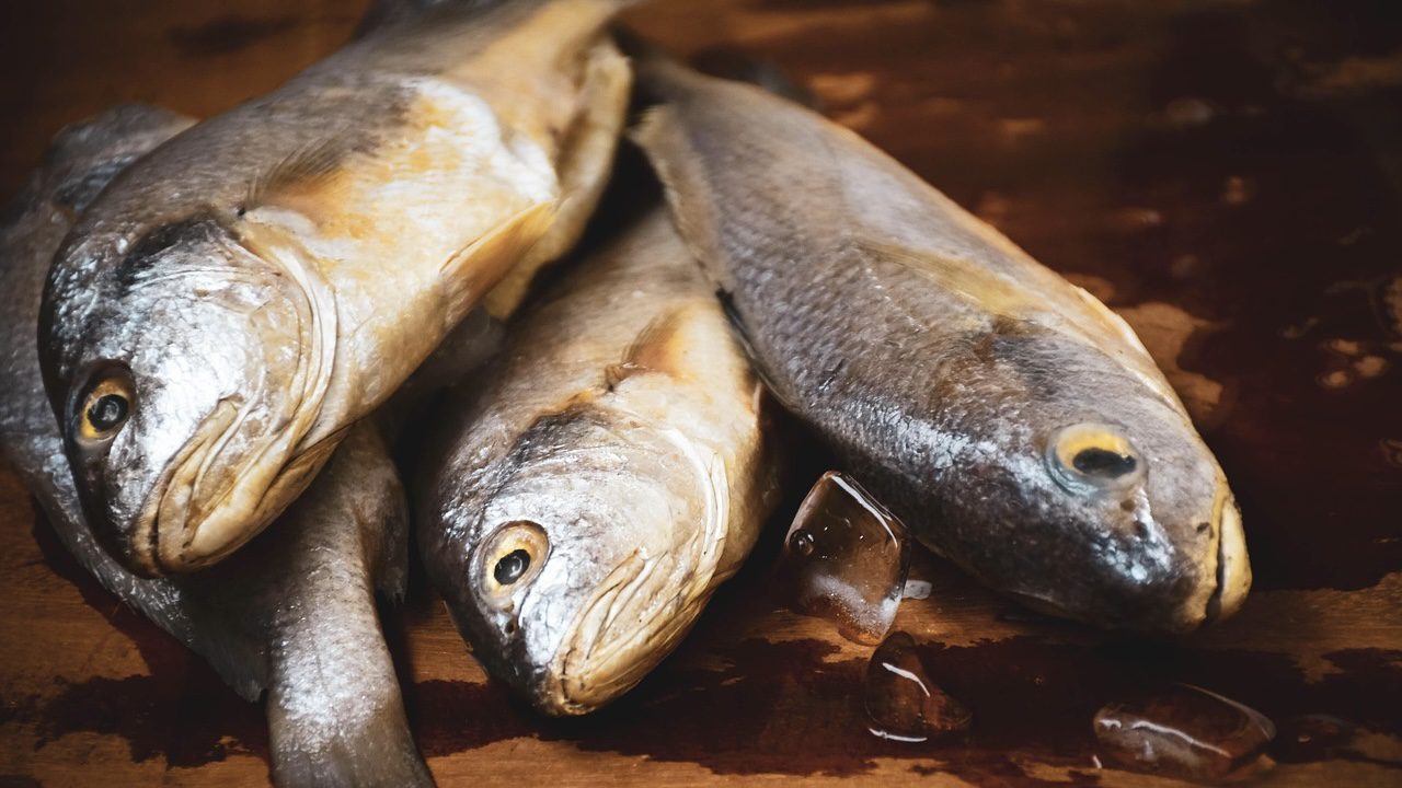 Господині розповіли, яка риба дешевша за скумбрію, але корисніша за лосось