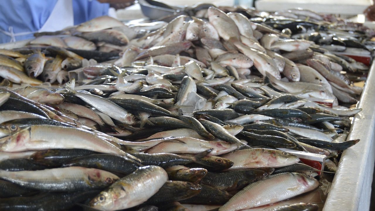 Продавчиня розповіла, які ознаки вказують на те, що на прилавку не свіжа риба Продавчиня розповіла, які ознаки вказують на те, що на прилавку не свіжа риба