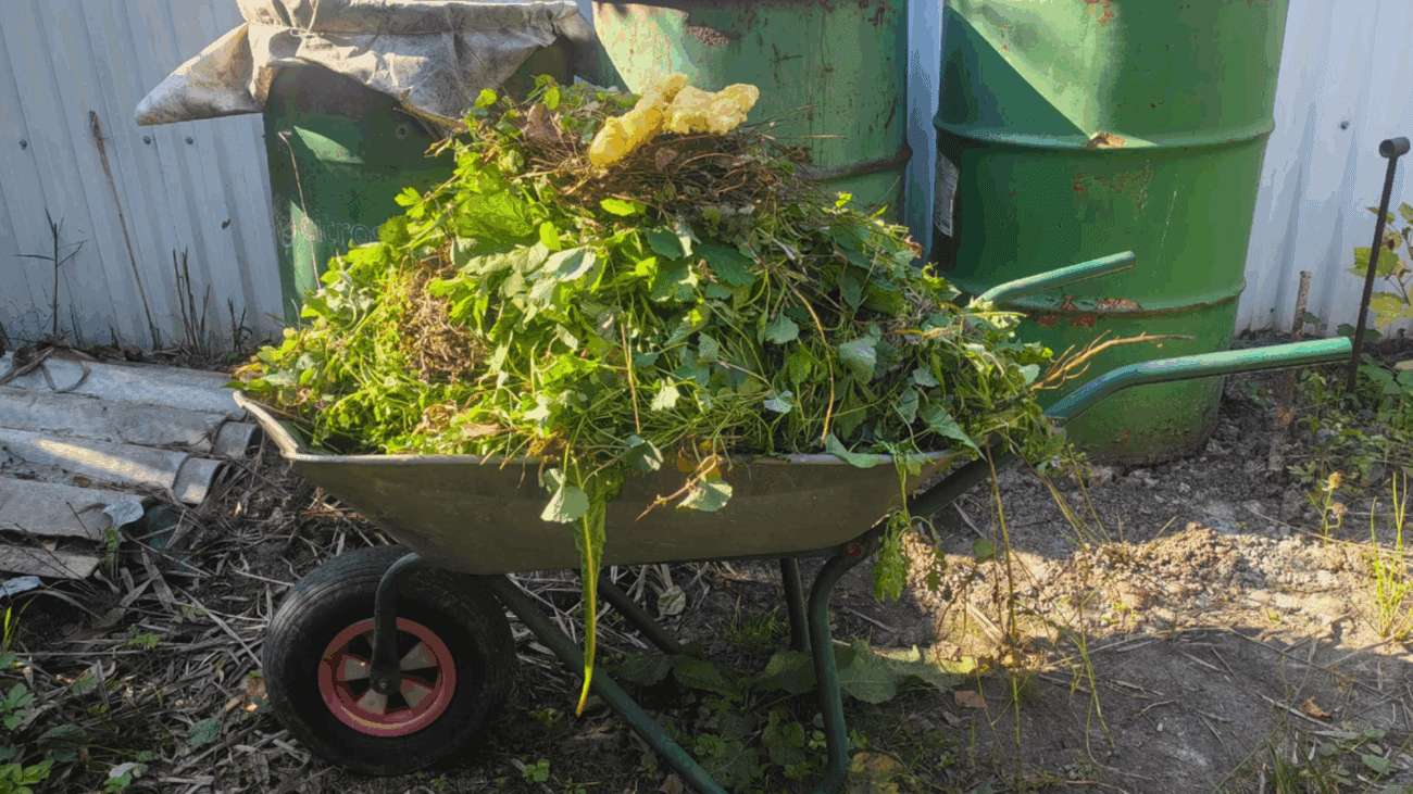 Експерти розповіли, як правильно закладати компост восени