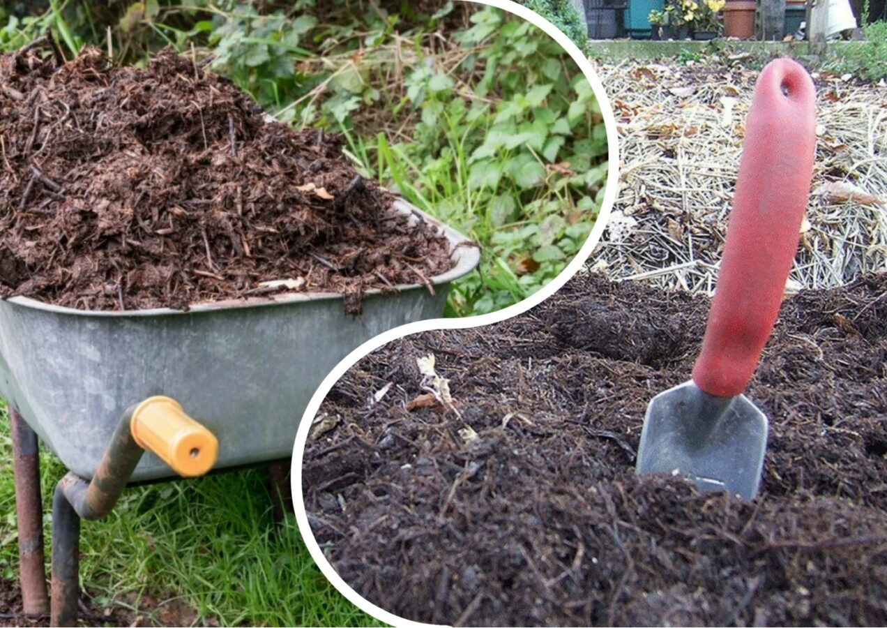 Як захистити грядку від бур'янів
