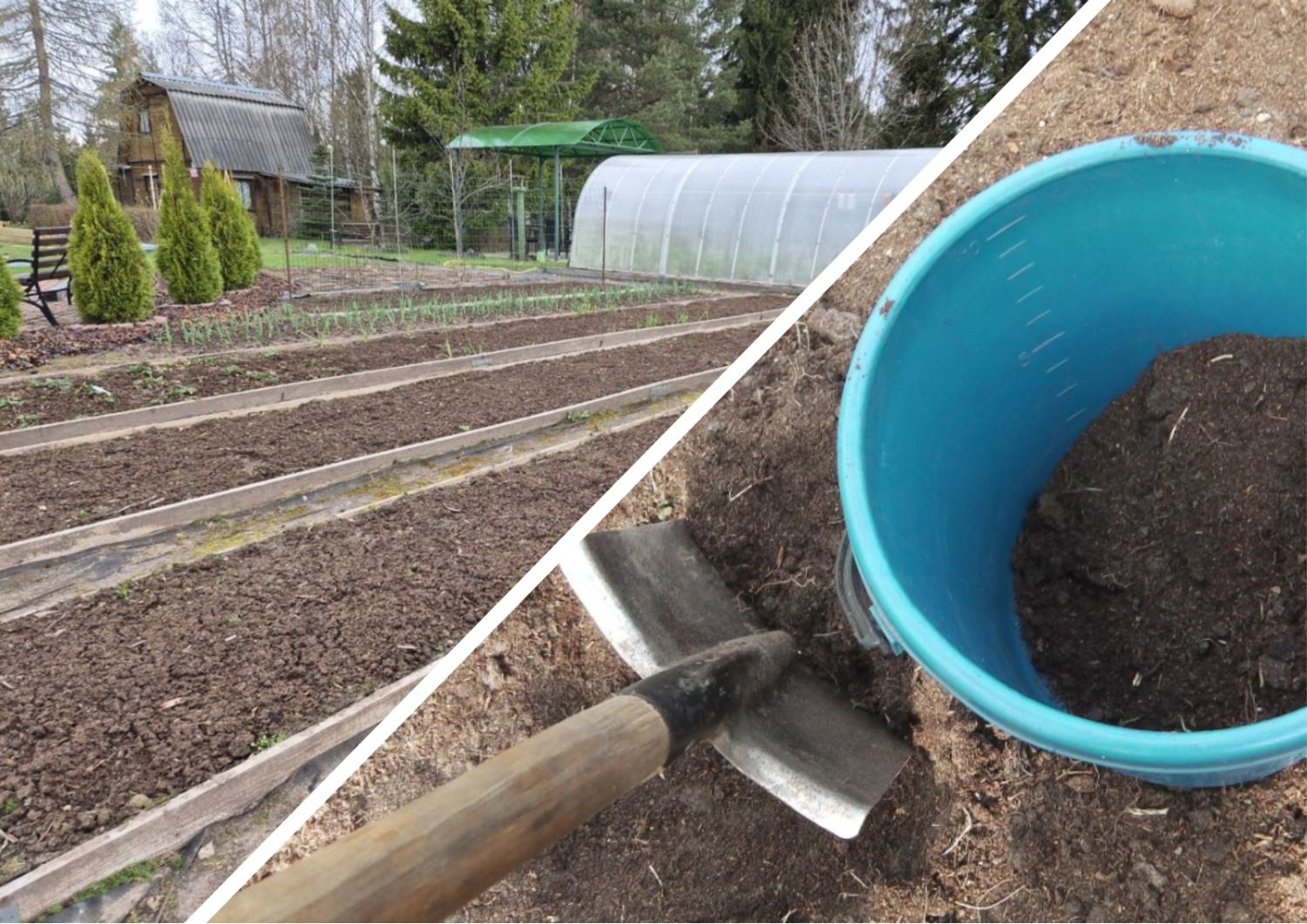 Як підготувати грядку до зими восени