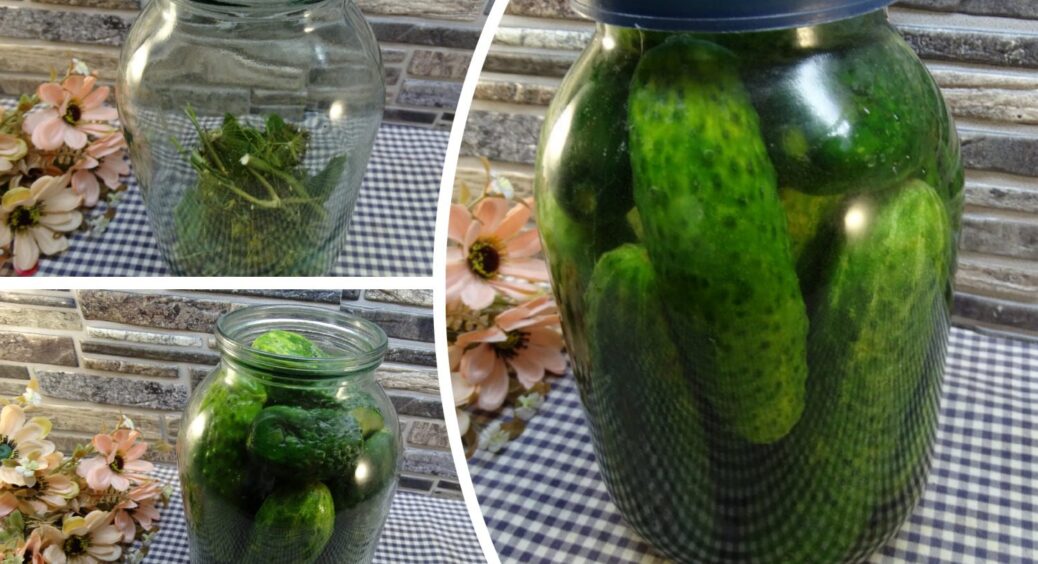 Перерослі огірки – кращі для консервації, ніж хрусткі та молоді: 1 пояснення чому + рецепт заготівлі на зиму 