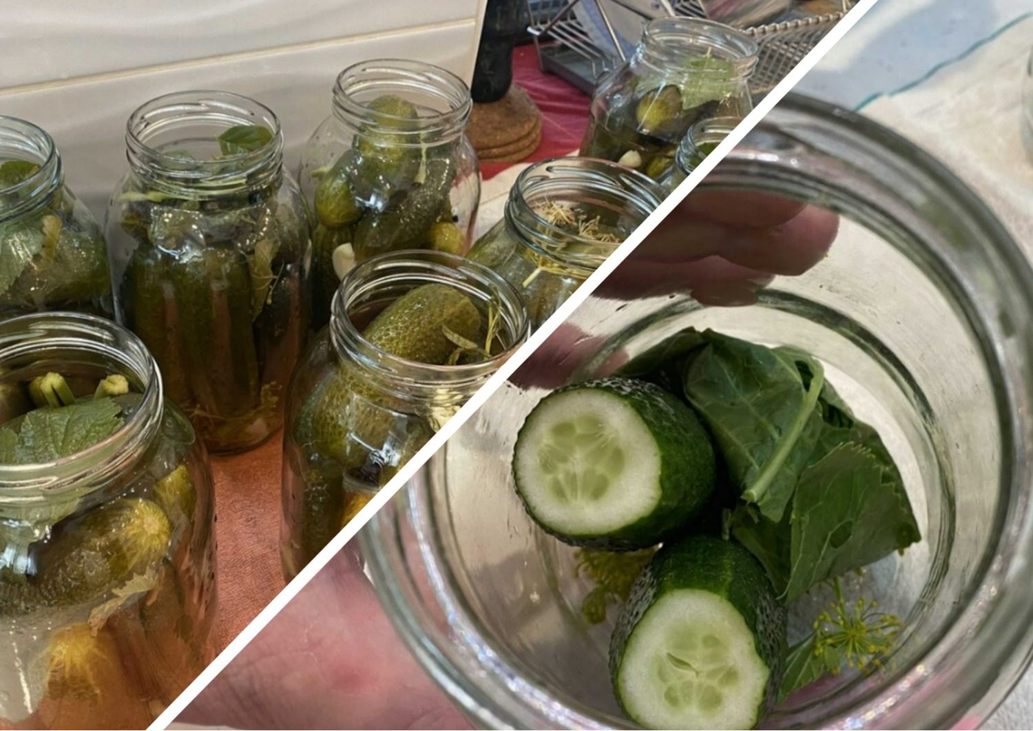 Чому банки з огірками здуваються та як цього уникнути