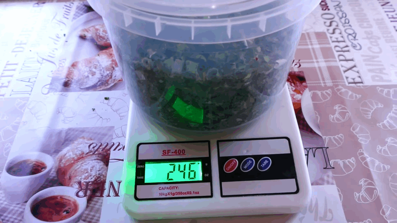 Експерти розповіли, як на зиму висушити правильно цибулю