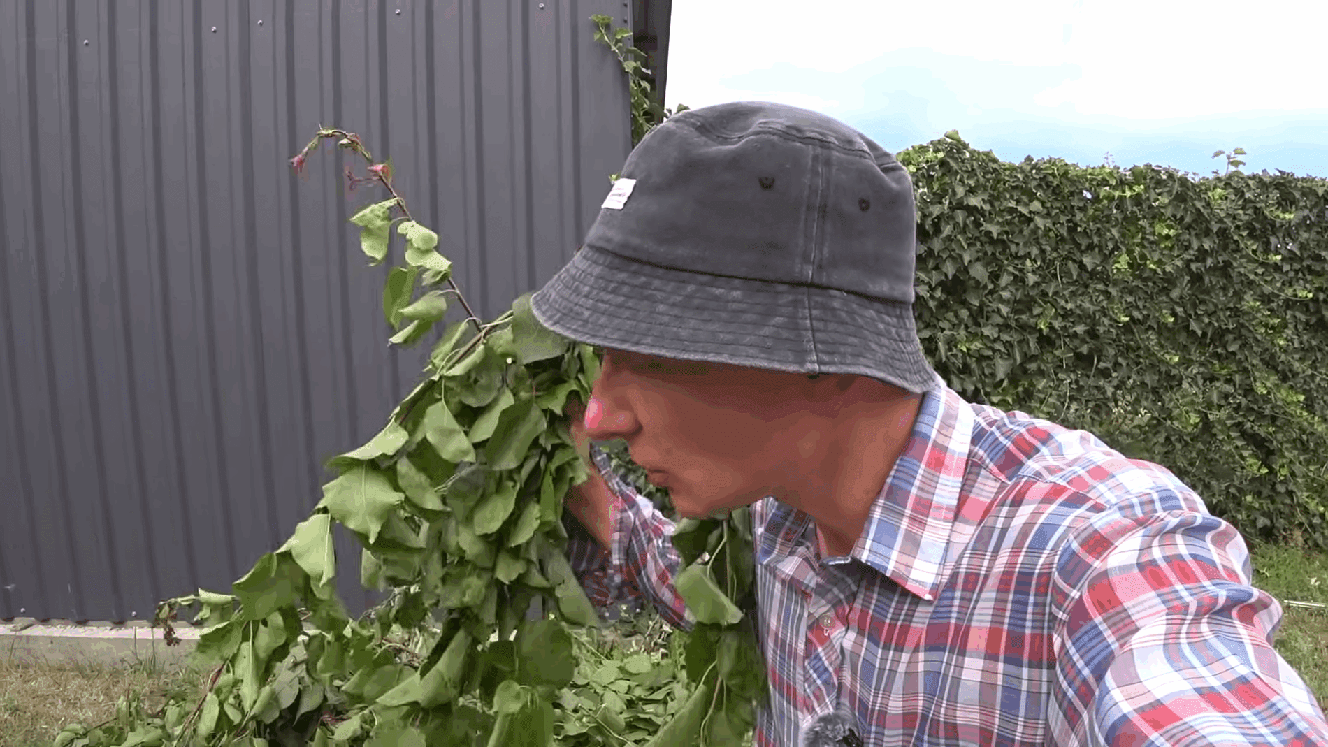 Експерти розповіли, як зробити добриво з обрізаних в саду гілок