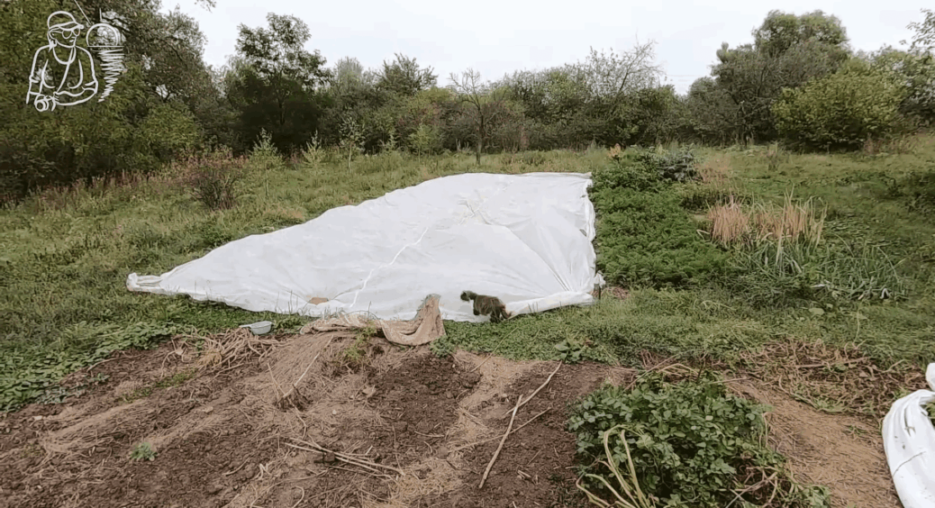 20 мл на 10 л – і спанбонд зберігається чистим до весни, а грядки більше не заражаються старими хворобами 