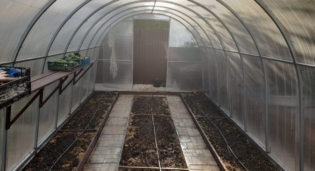 Восени посипаю грядки в теплиці 1 склянкою “порошку” – і до весни ґрунт відновлюється сам: пухкий і родючий 