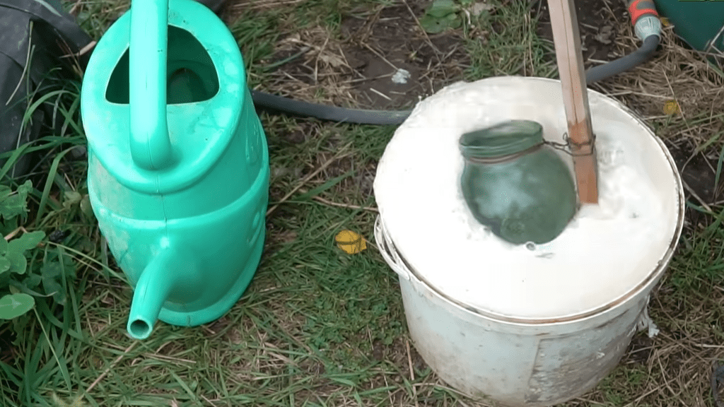 Городники розповіли, як прискорити дозрівання компосту