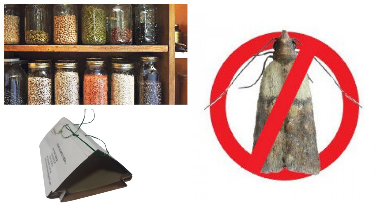 Експерти розповіли, як правильно зберігати крупу в банках