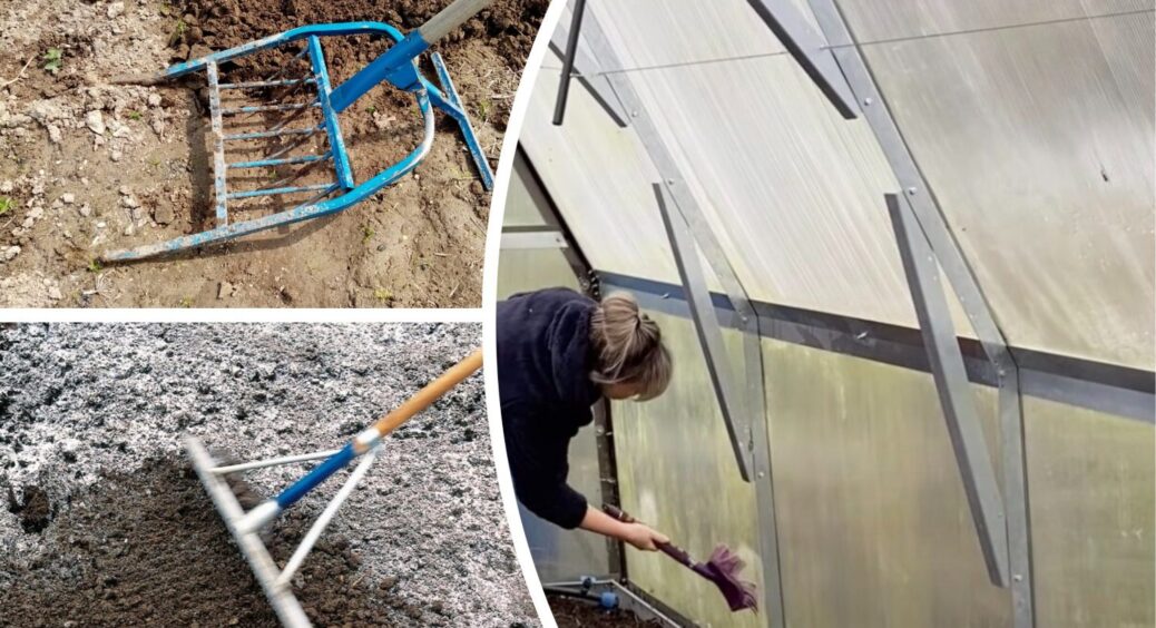 Місячний календар на 12-15 вересня каже: “Зробіть ці 5 дій, аби вашому врожаю заздрили всі сусіди” 