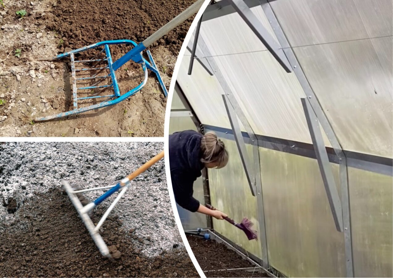 Які справи треба виконати на ділянці на цих вихідних