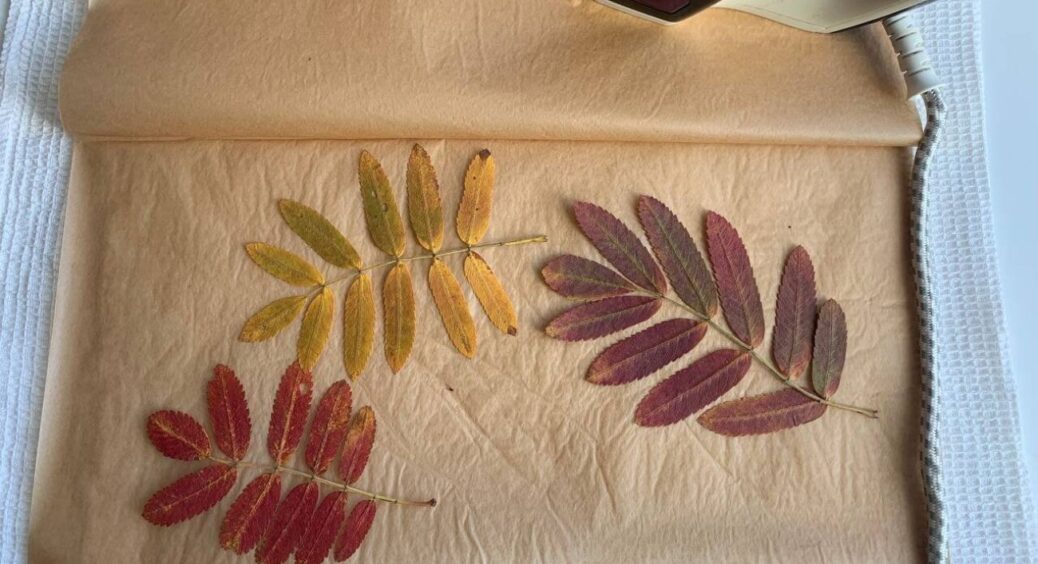 Вихователька сказала дочці: “ОБОВ’ЯЗКОВО принеси поробку на 25.09”. Я не розгубилась, і зробила за 2 хв диво 