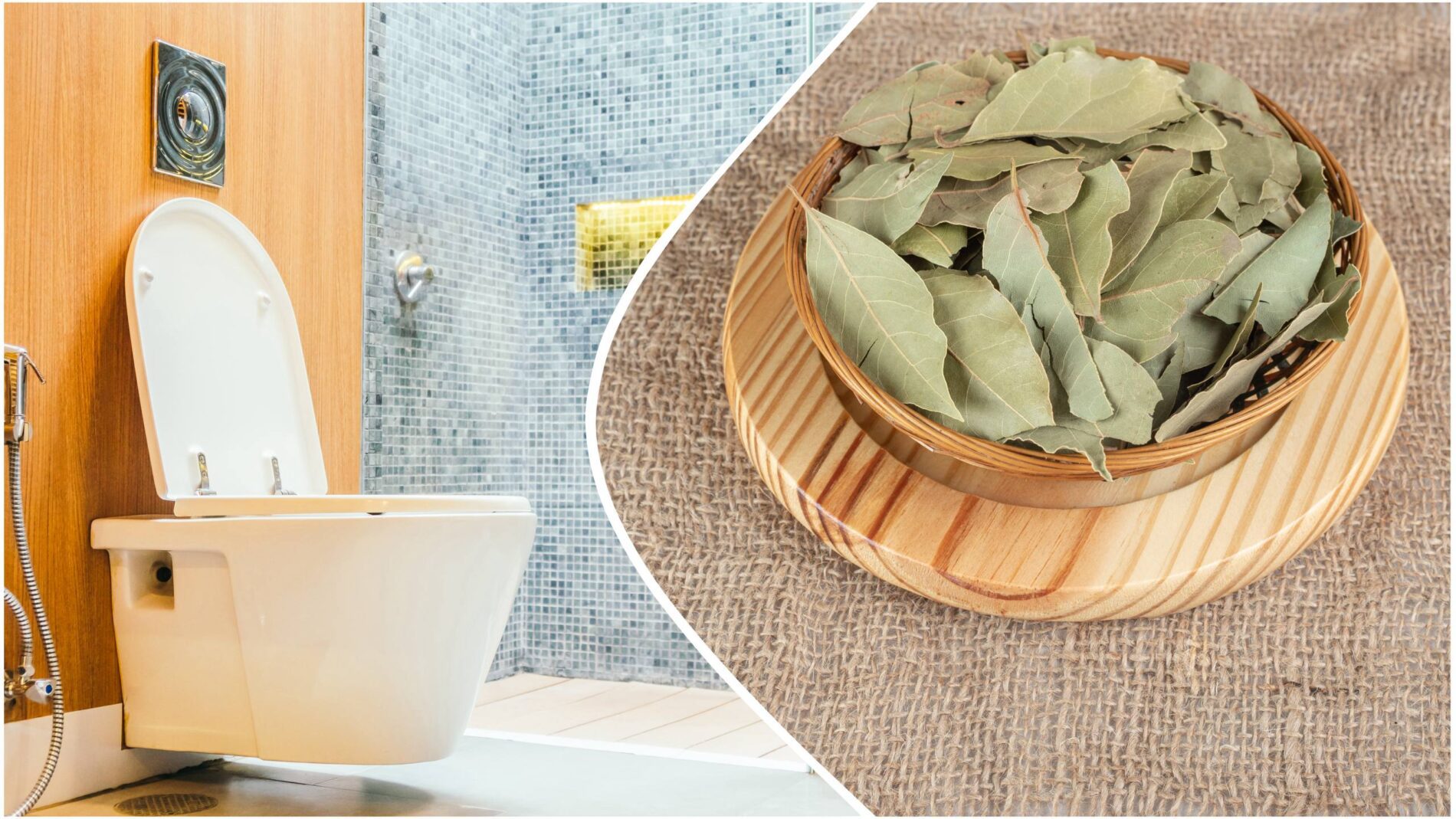 Господині розповіли, навіщо класти в унітаз лавровий лист