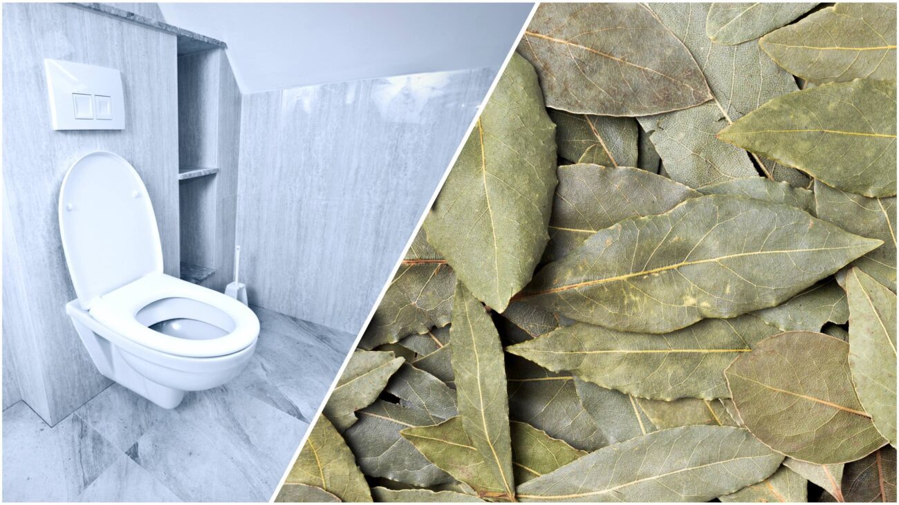 Господині розповіли, навіщо класти в унітаз лавровий лист
