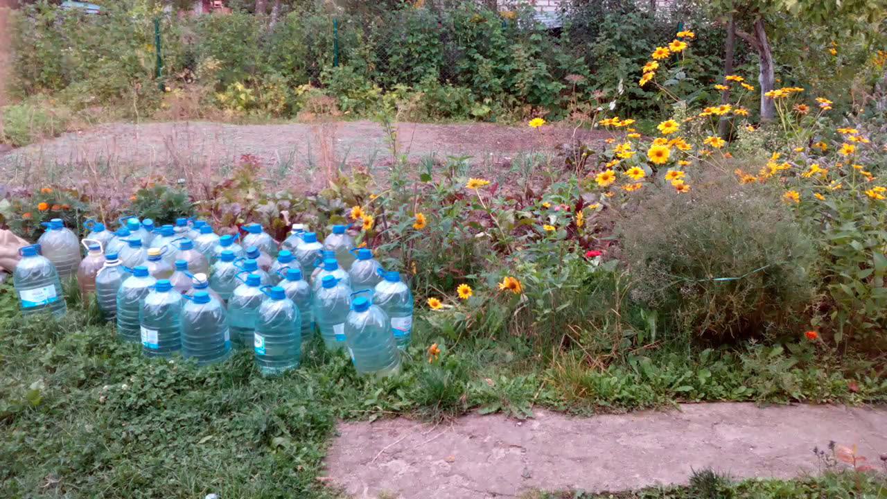 Городники розповіли, навіщо розкладати пляшки з водою на ділянці