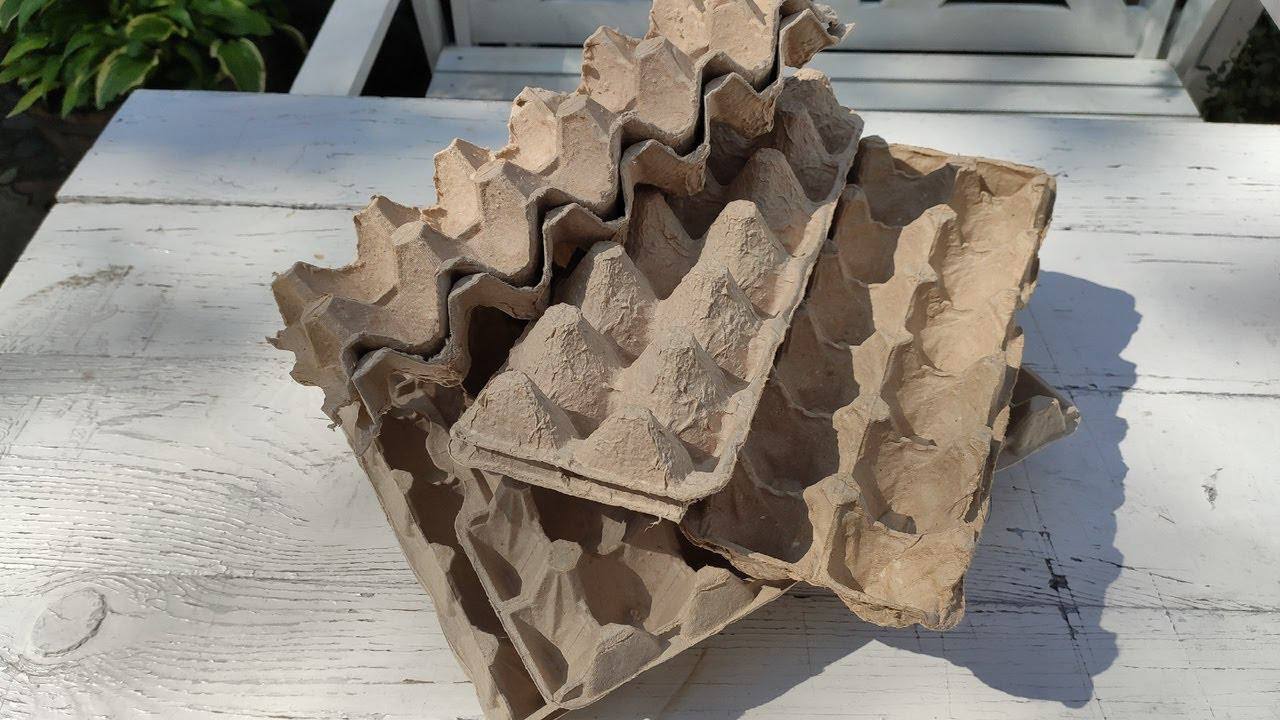 Дачники розповіли, навіщо спускати в льох лотки від яєць