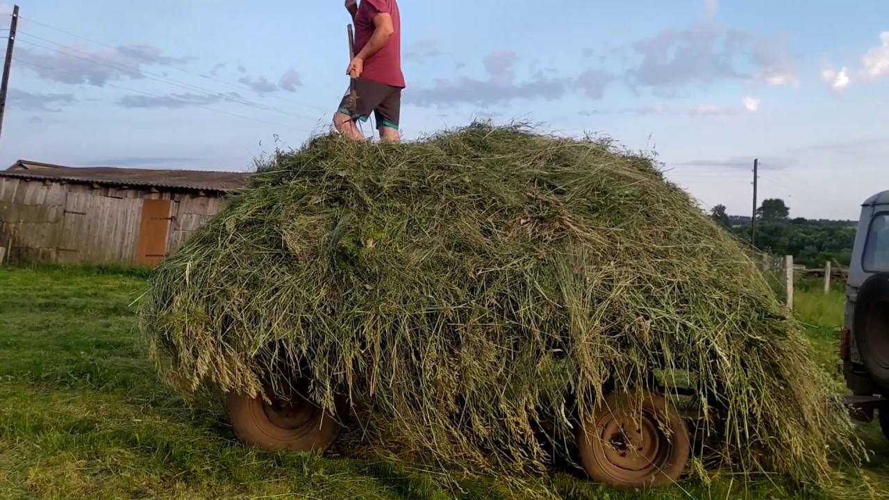 Городники розповіли, чим корисне сіно на дачній ділянці