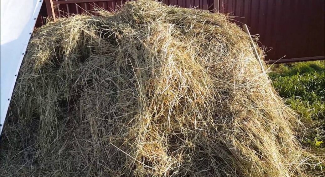 Сусід колись розкидав сіно по городу – і поділився результатом: тепер і ми так робимо восени вже 30 років 