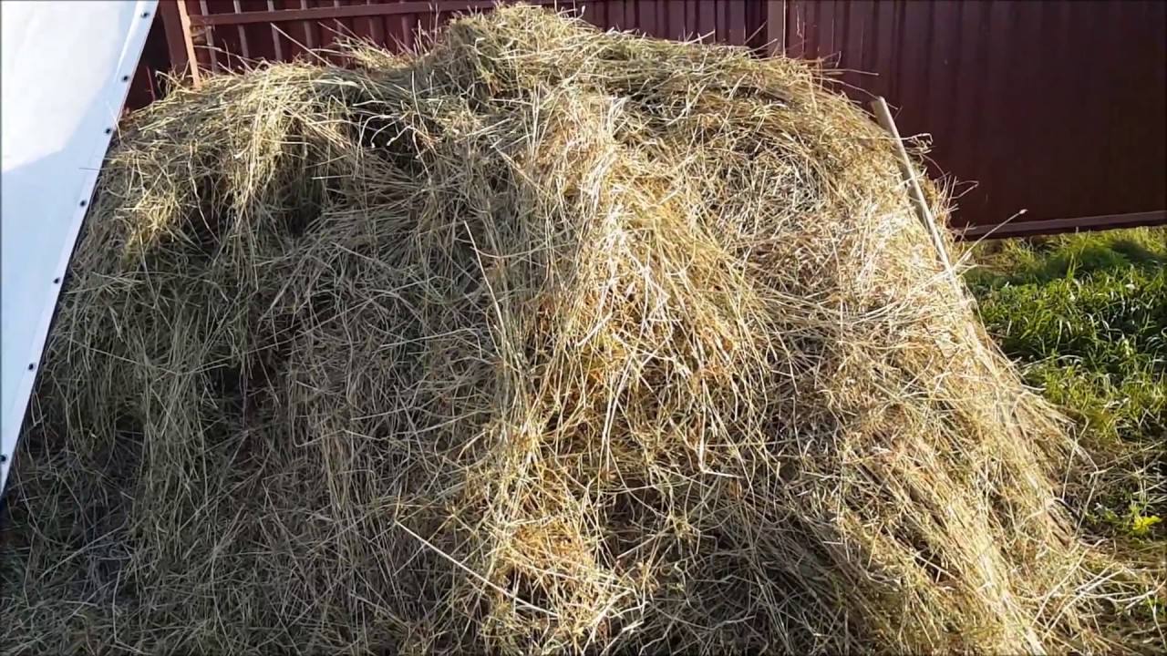 Городники розповіли, чим корисне сіно на дачній ділянці