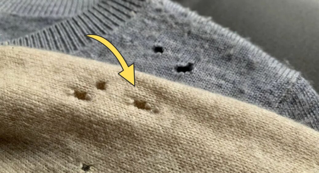 1 хитрість – і міль забуде дорогу до шафи: всі куртки, шапки та светри захистить порада з минулого 