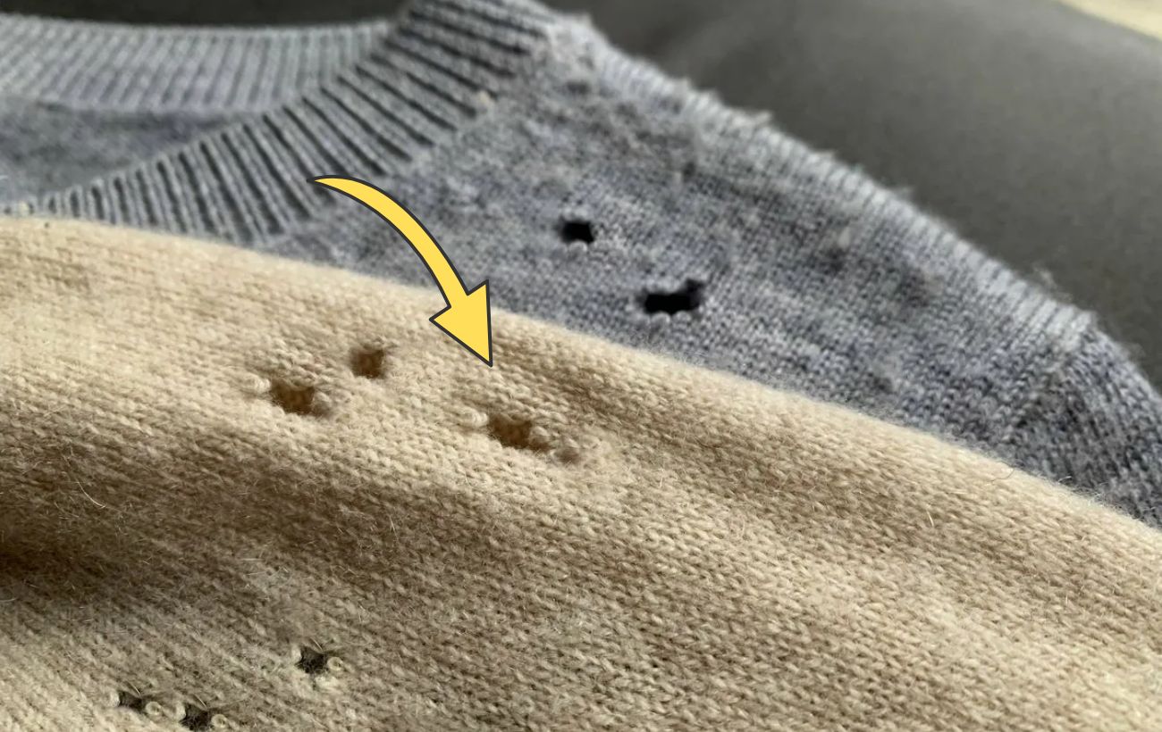 Господині розповіли, як захистити одяг від молі