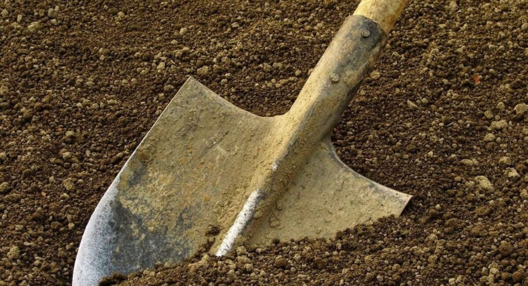 На завершення садового сезону – 3 обов’язкові дії: з ними +10 кг врожаю з кожної грядки та “мінус” шкідники 