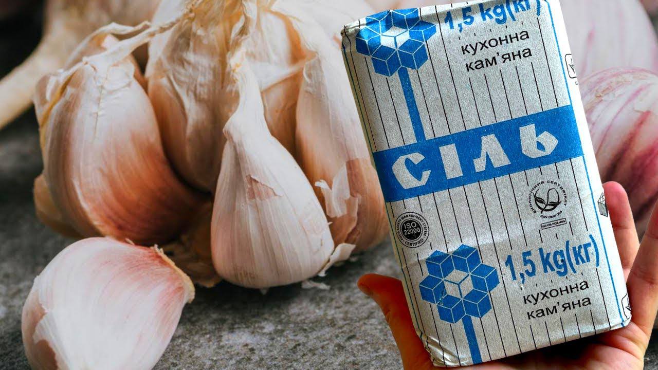 Агрономи розповіли, що зробити при висадженні часнику восени для великого врожаю