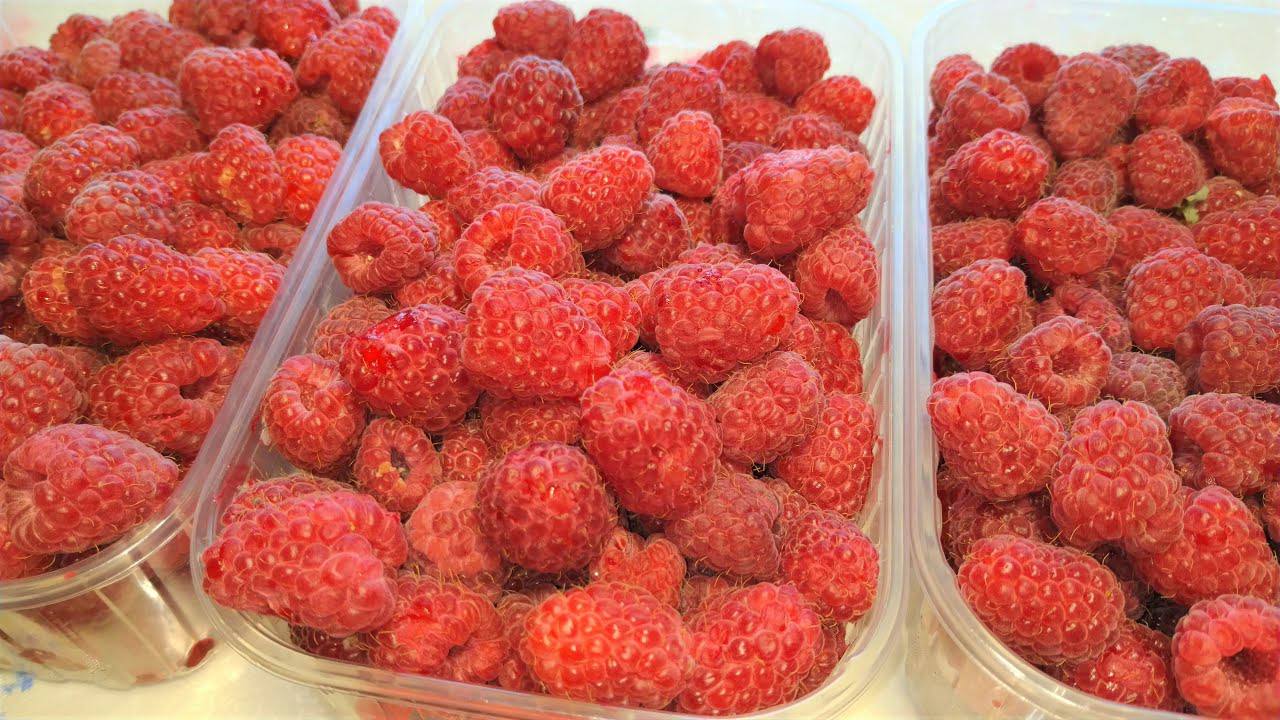 Господині розповіли, як заготовити на зиму малину без варіння