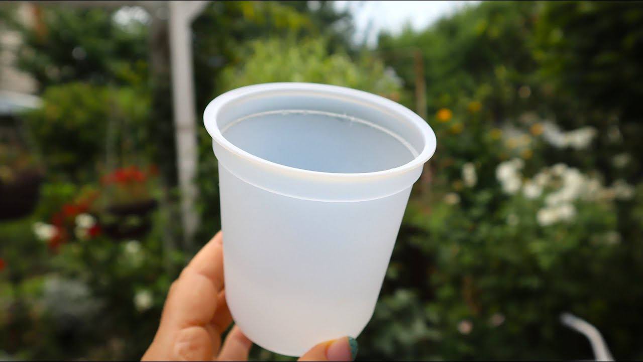 Господині розповіли, як можна використати пусту тару від сметани у господарстві