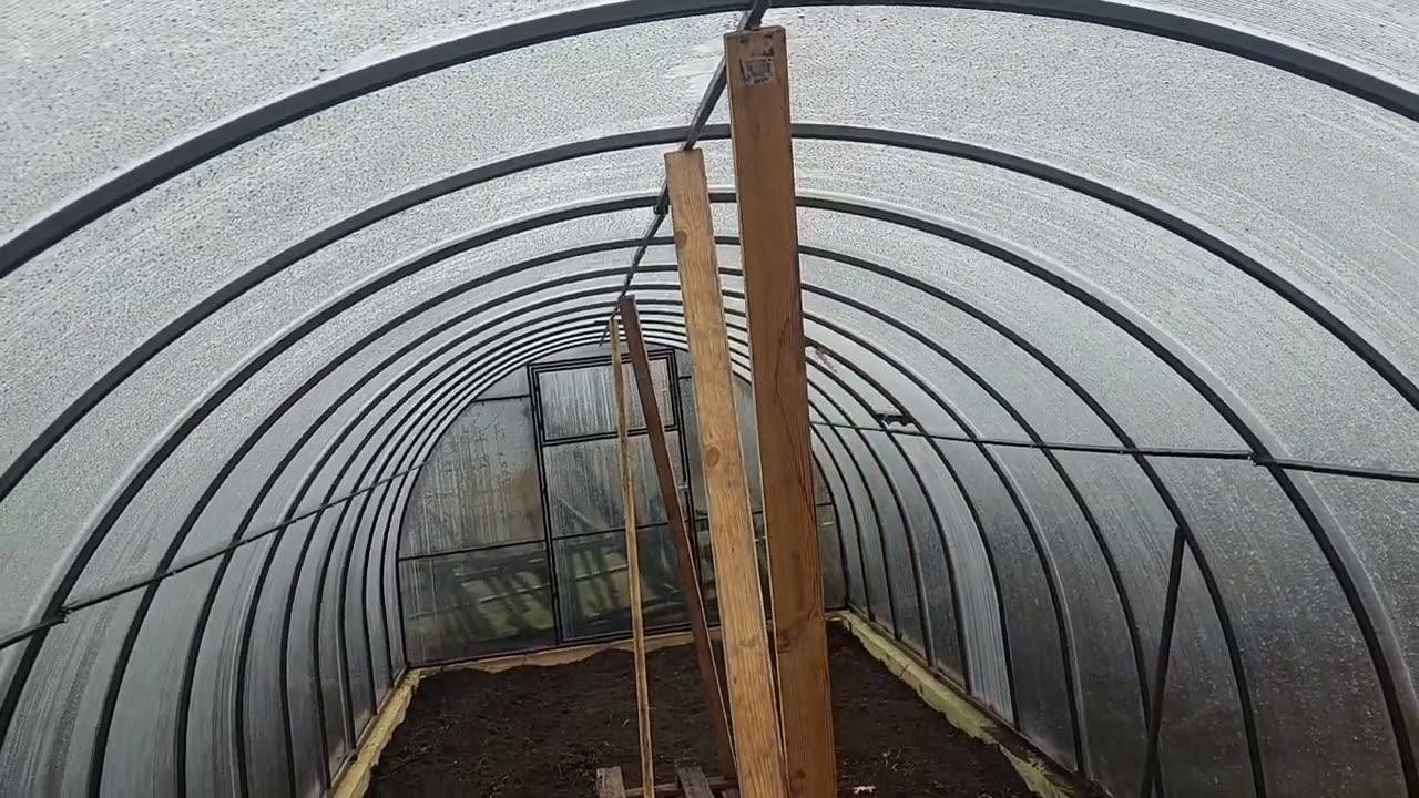 Дачники розповіли, як швидко очистити теплицю від білокрилки та грибка